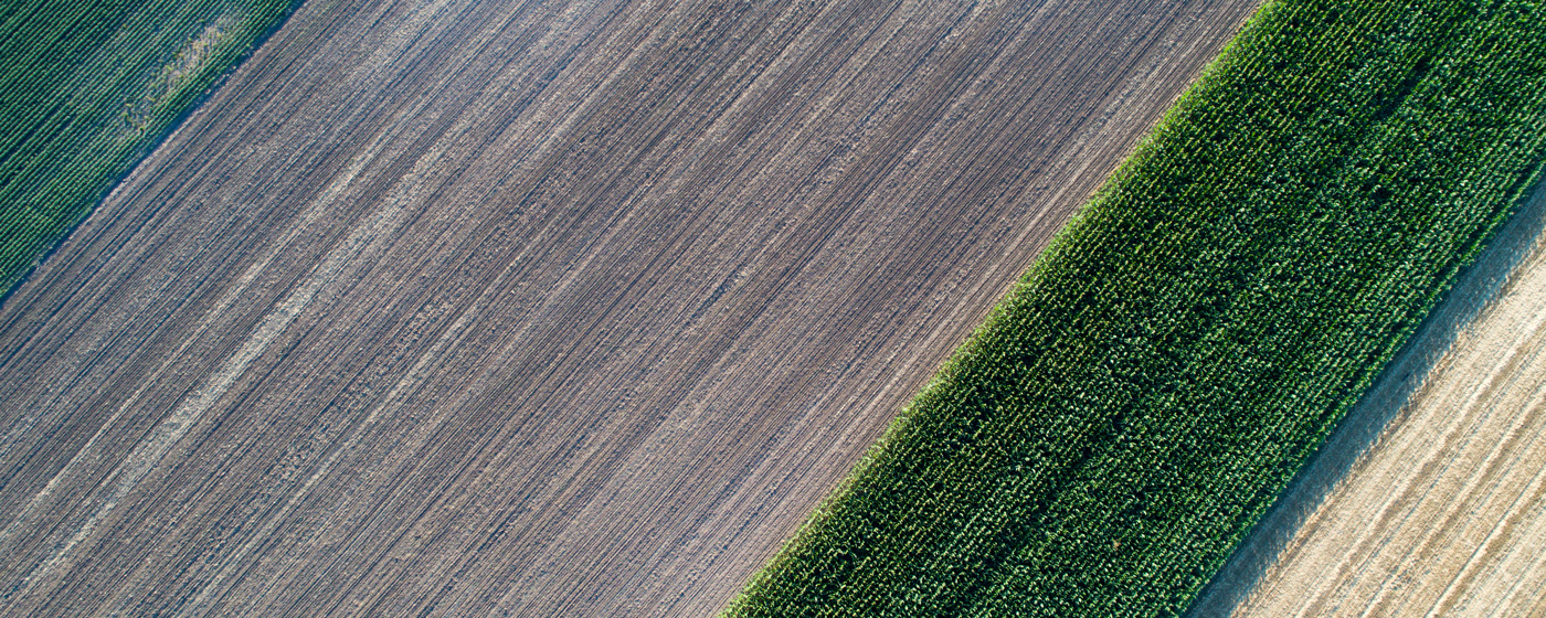 campo agricolo moderno