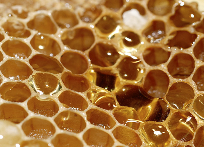 I prodotti delle api: un insieme di risorse a partire dal nettare