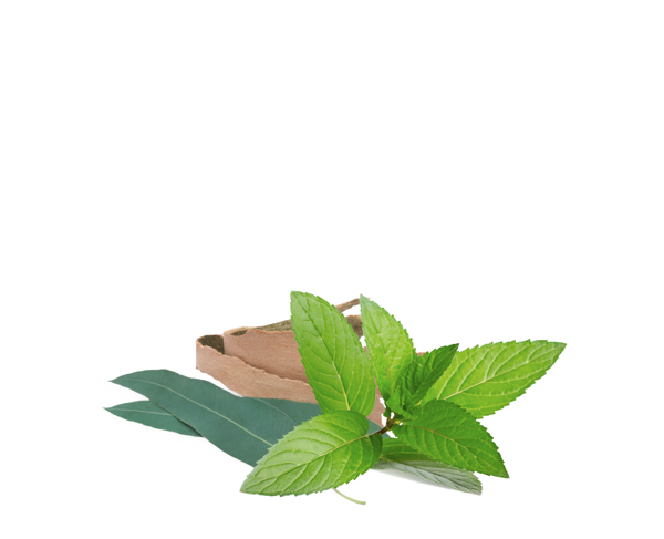 balsamico / menta-eucalipto